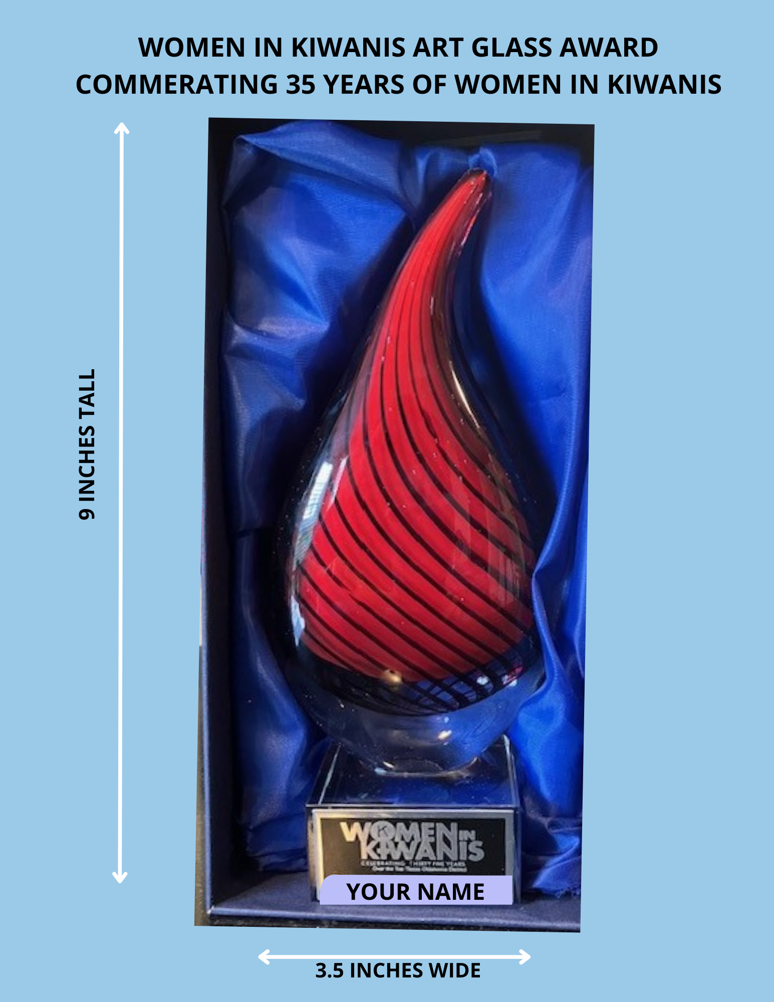 WIK AWARD (1) WIK AWARD (1)